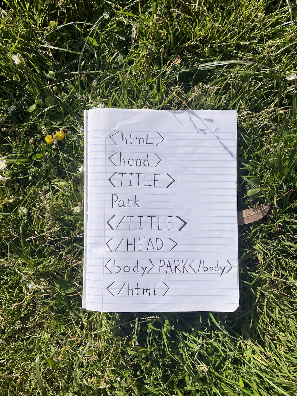 A photograph of the hand-written code for the website above in a notebook laying in grass.